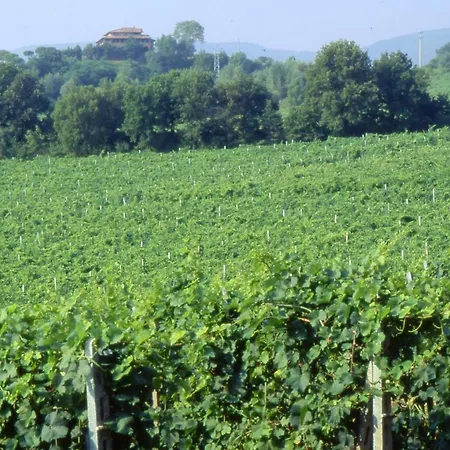 Palazzo Bandino - Wine Cellar, On Reservation Restaurant And Feriegård