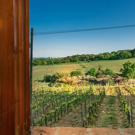 Palazzo Bandino - Wine Cellar, On Reservation Restaurant And Chianciano Terme