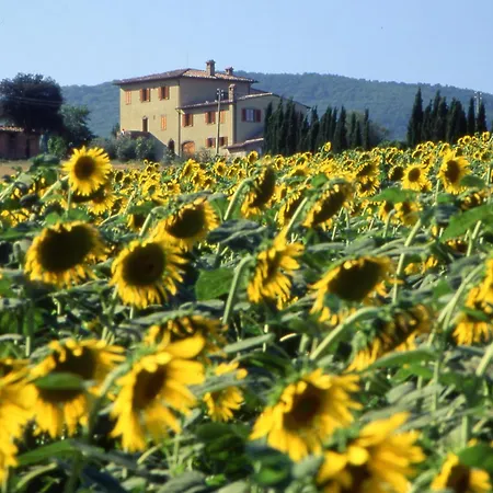 Alojamento de Turismo Rural Palazzo Bandino - Wine Cellar, On Reservation Restaurant And *